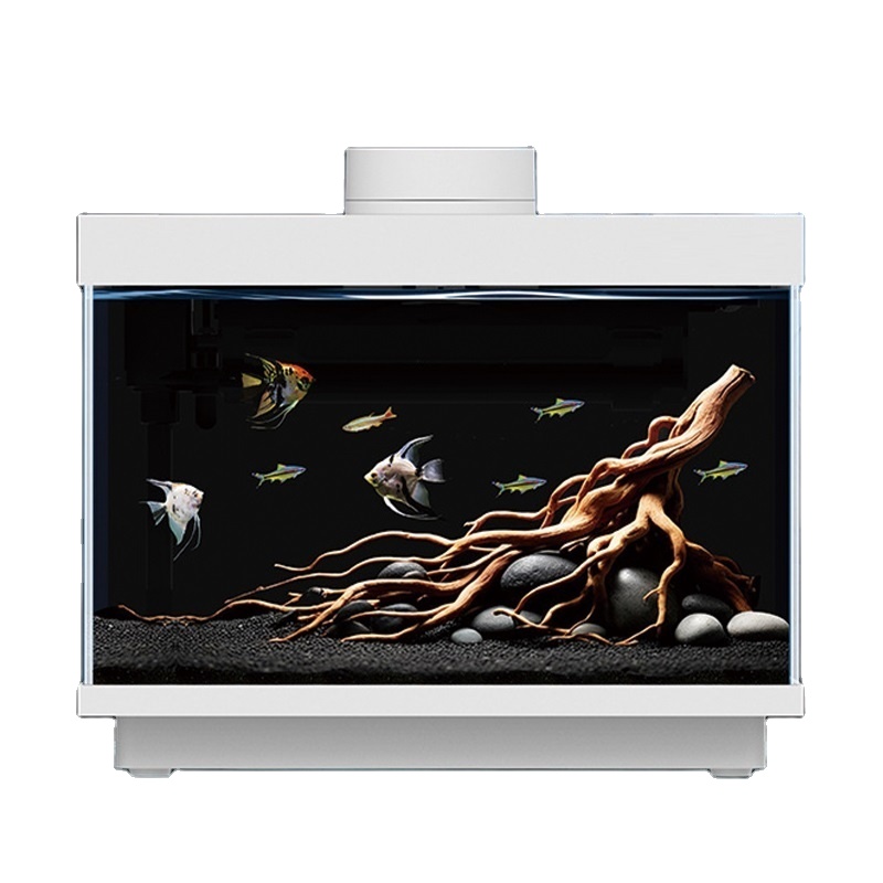 Çok fonksiyonlu hepsi bir arad - All Fish In Aquarium incelemesi ve fiyatı
