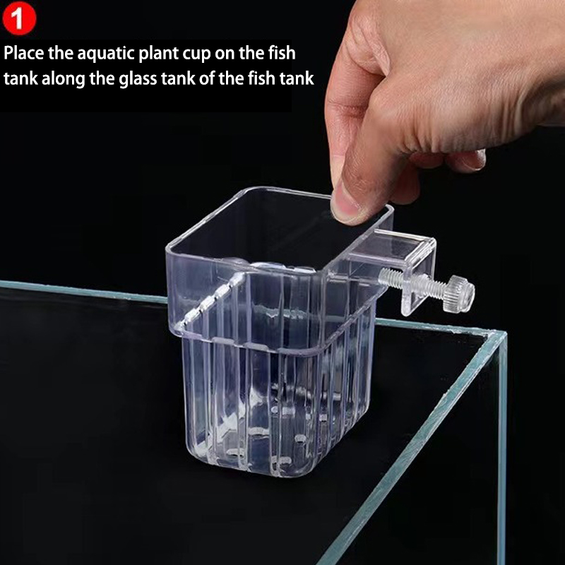 Çok fonksiyonlu balık akvaryum - Box Fish In Aquarium incelemesi ve fiyatı