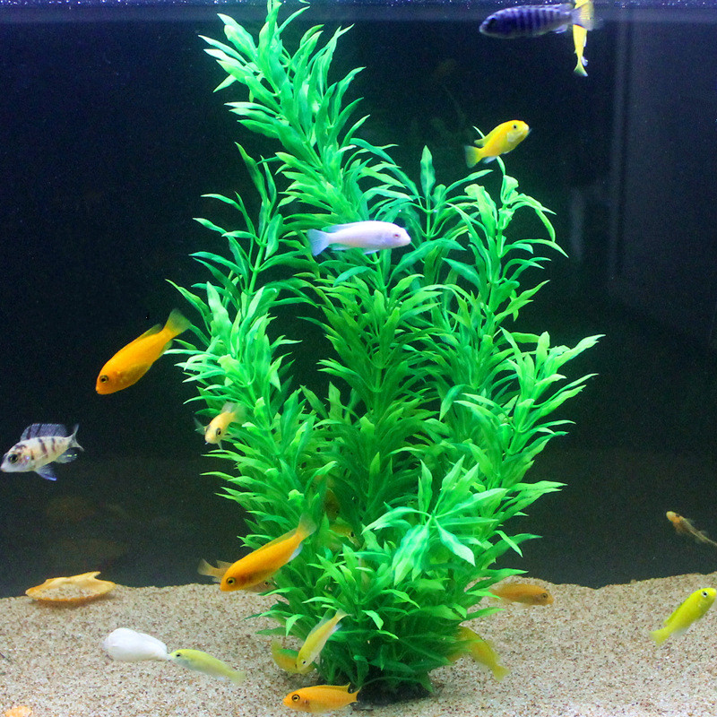 50 CM Yapay Balık Tankı Nadir  - Aquarium Fish House incelemesi ve fiyatı