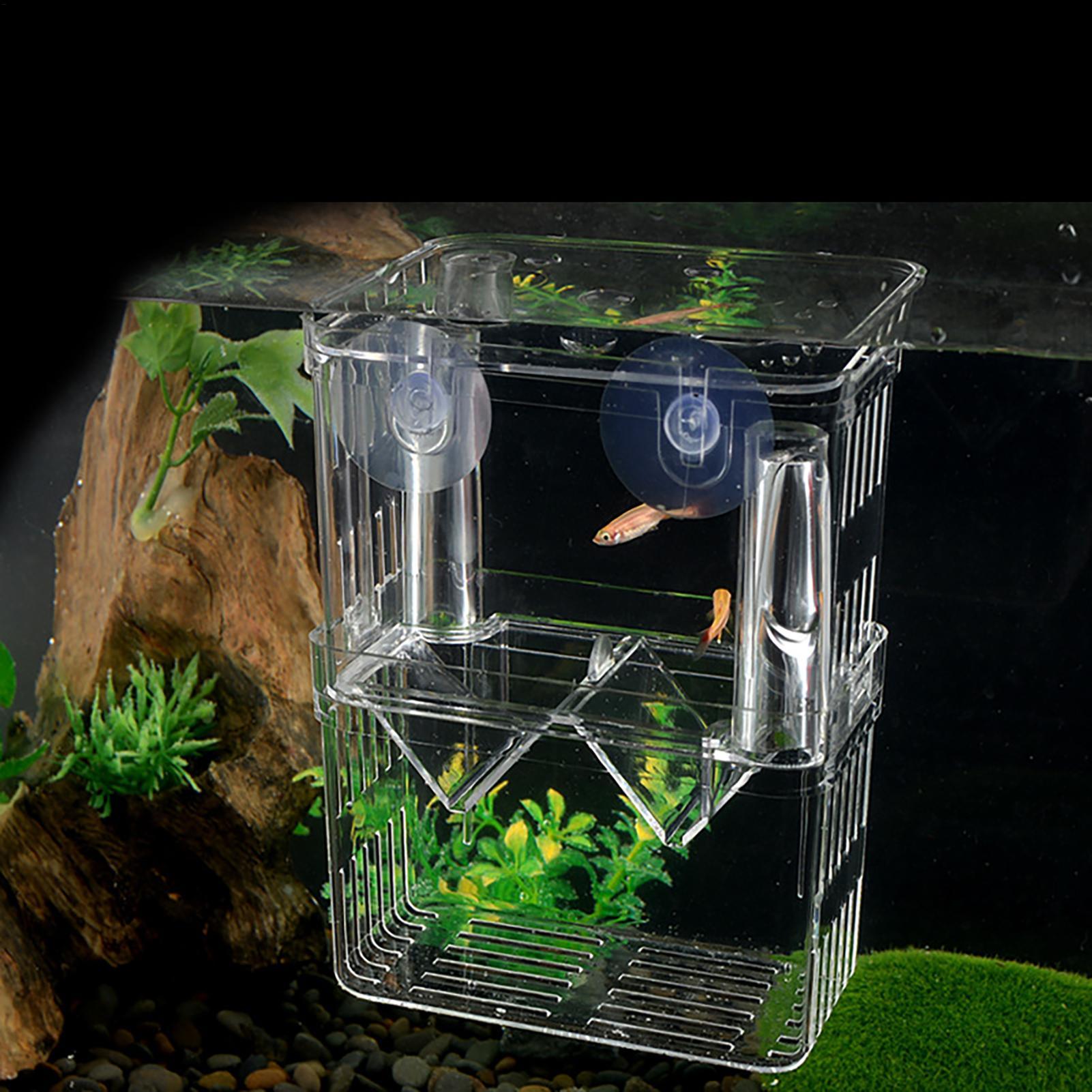 Balık Tankı için Yetiştirici K - Aquarium Fish Jar incelemesi ve fiyatı