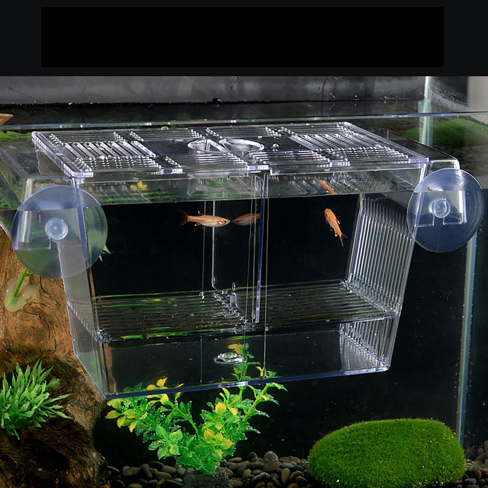 Balık Tankı için Yetiştirici K - Aquarium Fish Jar incelemesi ve fiyatı