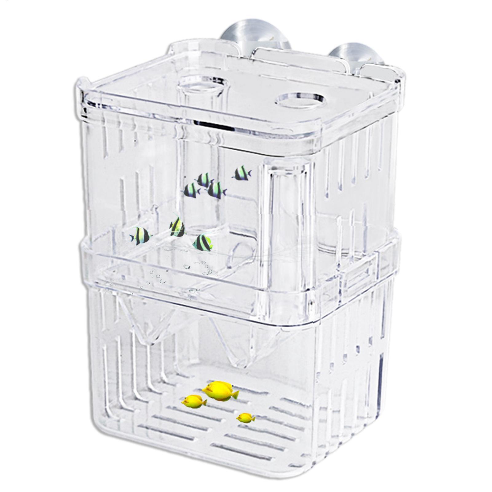 Balık Tankı için Yetiştirici K - Aquarium Fish Jar incelemesi ve fiyatı