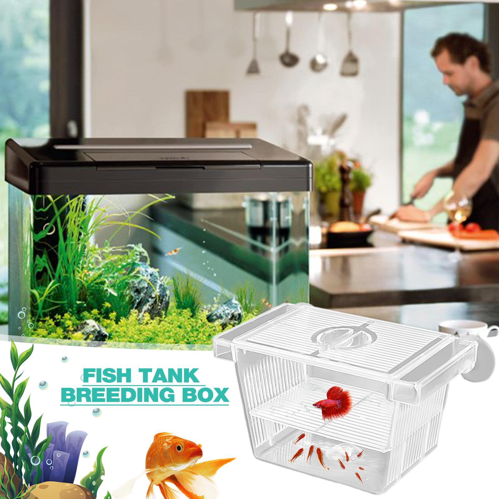 Akvaryum Kuluçkahanesi Akrilik - Aquarium Fish Jar incelemesi ve fiyatı