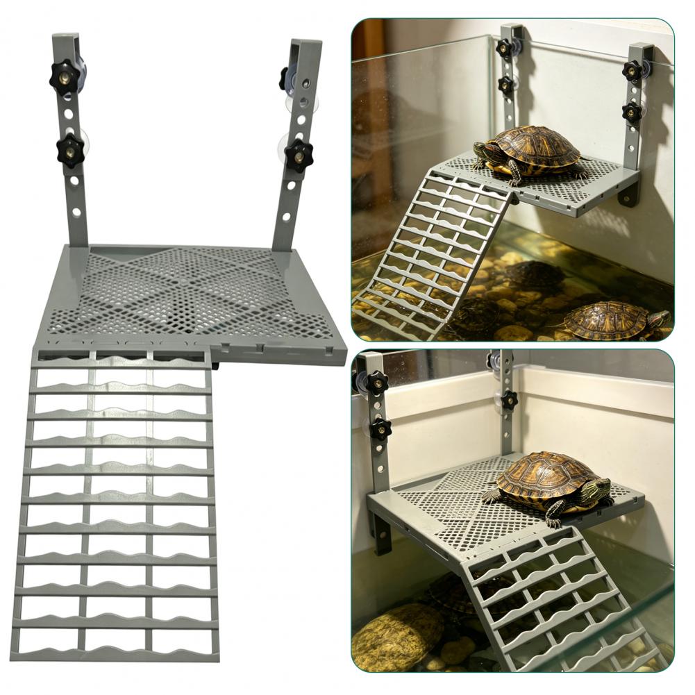 Akvaryum Dekorasyonu Katı Form - Aquarium Fish House incelemesi ve fiyatı