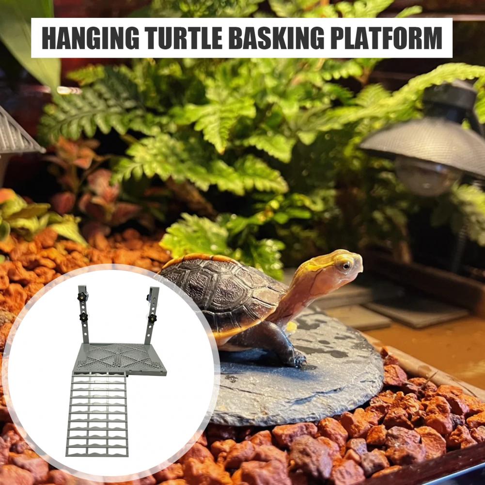 Akvaryum Dekorasyonu Katı Form - Aquarium Fish House incelemesi ve fiyatı