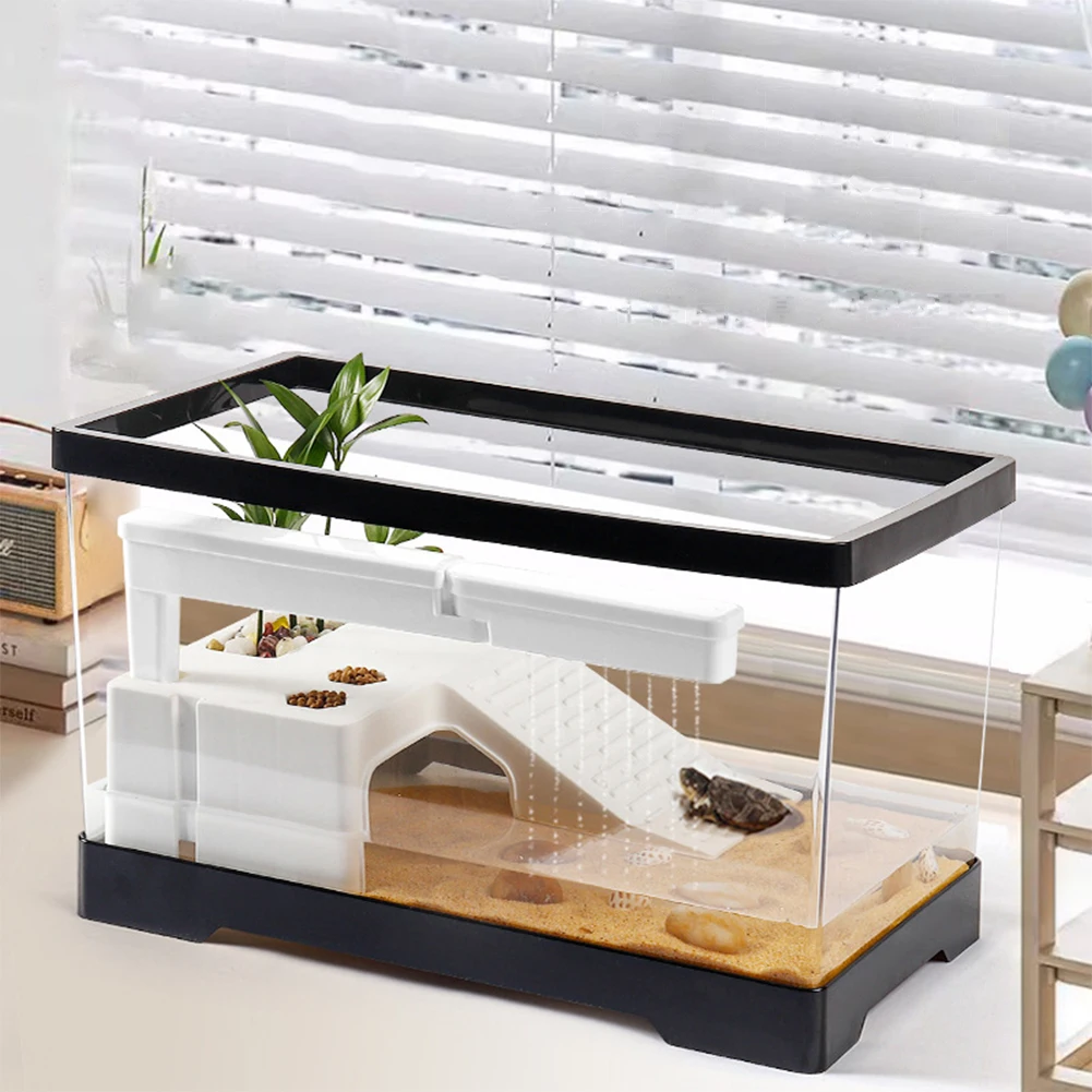 Büyük Şeffaf Kaplumbağa Tankı  - Box Fish In Aquarium incelemesi ve fiyatı