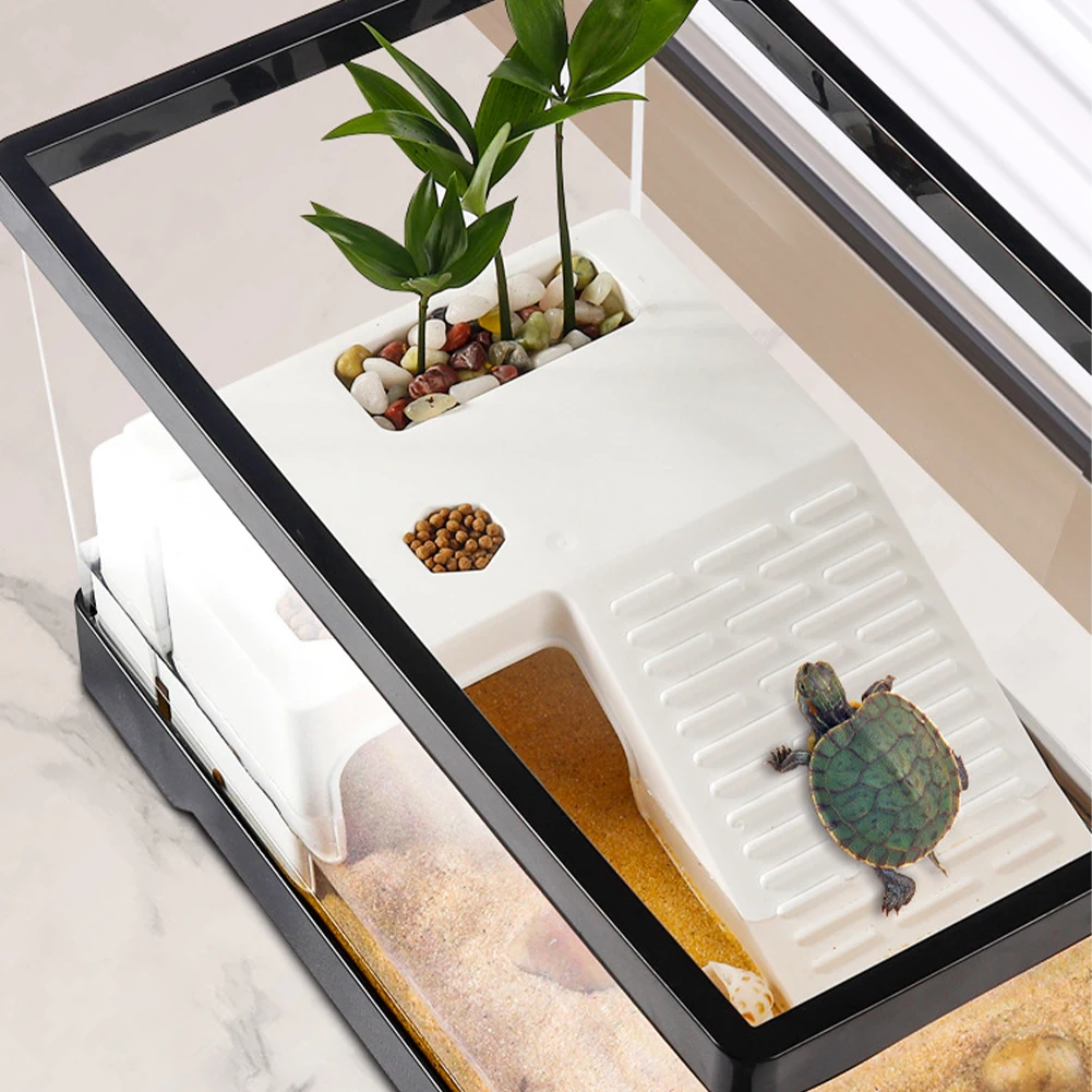 Büyük Şeffaf Kaplumbağa Tankı  - Box Fish In Aquarium incelemesi ve fiyatı