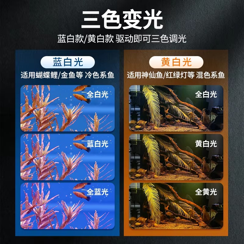 Modern Akvaryum Işık Kutusu Ba - Box Fish In Aquarium incelemesi ve fiyatı