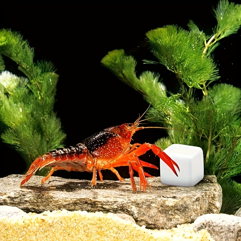 6 Adet Balık Tankı Kalsiyum Bl - Aquarium Fish Lego incelemesi ve fiyatı