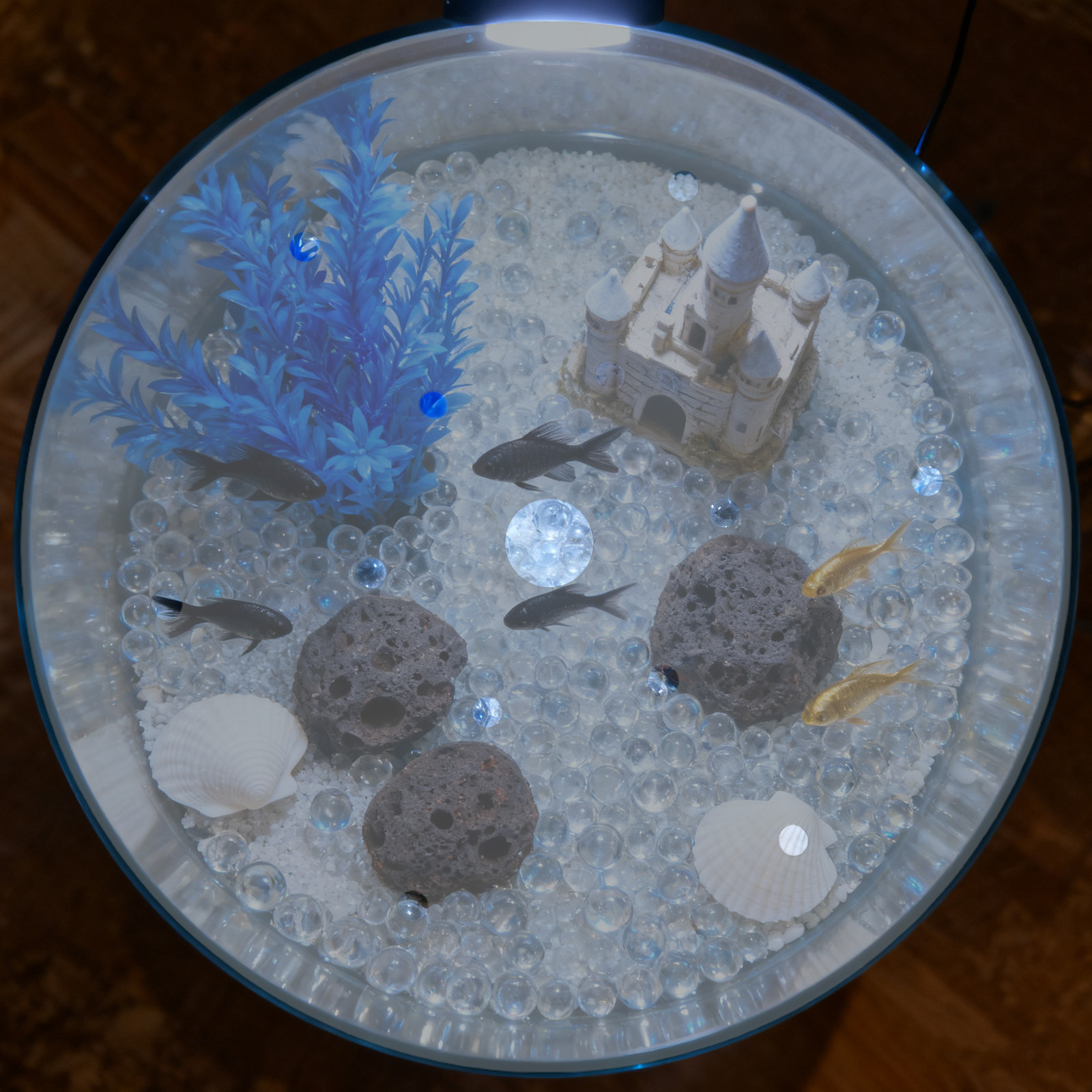 7 inç Yuvarlak Akrilik Balık T - Aquarium Fish Jar incelemesi ve fiyatı